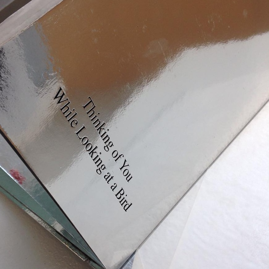 a silvery page of a book opened with embossed words 'Thinking of you while looking at a bird'